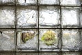 Partially broken, gloomy, dirty window of glass blocks, on an abandoned farm in the village Royalty Free Stock Photo