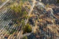 Partially burnt out coniferous forest. Consequences of a natural disaster. Aerial view
