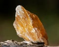 Partially crystallized golden Scapolite from Nigeria on fibrous tree bark in the forest. Royalty Free Stock Photo