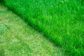 Partially cut grass lawn. Green fresh grass. Difference between perfectly mowed, trimmed garden lawn or field for sports and long