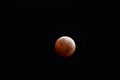 Partially Eclipsed Moon