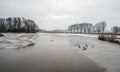 Partially frozen lake with resting mallards Royalty Free Stock Photo