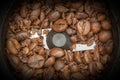 Partially ground fried dark coffee beans in an automatic coffee grinder, food background Royalty Free Stock Photo