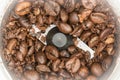 Partially ground fried dark coffee beans in an automatic coffee grinder, food background Royalty Free Stock Photo