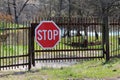 Partially rusted metal locked picket fence driveway doors with large stop road sign mounted in front surrounded with uncut grass