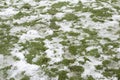 Partially thawed snow on grass