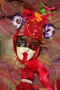 Participant at the annual venitian carnival of Annecy,