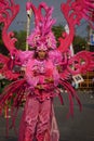 The participant Biro Fashion Carnival with a bird costume