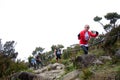 Participant climbing up Mt Kinabalu Royalty Free Stock Photo