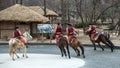 Participant a the Equestrian Feats act, South Korea