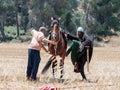 Participant in the reconstruction of Horns of Hattin battle in 1187 sits on the fighting horse, and the second helps him on the wa