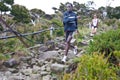 Participant running down Mt Kinabalu Royalty Free Stock Photo