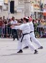 Participants of karate section demonstrate their skills for the