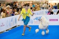 Participants in the ring on the World Dog Show Royalty Free Stock Photo