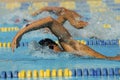 Participants In Swimming Race Royalty Free Stock Photo