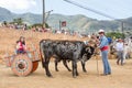 Oxcart Festival Royalty Free Stock Photo