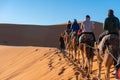 Participating in Camel caravan tour in Sahara desert, Morocco