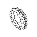 particle molecular structure isometric icon vector illustration Royalty Free Stock Photo