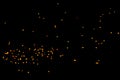 Particles of burning embers fly and glow isolated in the night sky. Natural yellow-hot sparks of fire on a black background, Royalty Free Stock Photo