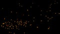 Particles of burning embers fly and glow isolated in the night sky. Natural yellow-hot sparks of fire on a black Royalty Free Stock Photo