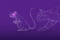 The particles, geometric art, line and dot of cat catching rat