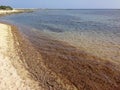 Particolare della spiaggia dell`Isola della Fanciulla