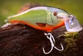 Detail of fishing lure plug Rapala Shallow Shad Rap Royalty Free Stock Photo