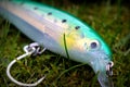 Rapala XXX Rap fishing lure plug 14 cm Royalty Free Stock Photo