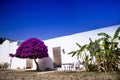 Particular architectural Masseria