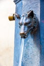 Particular of a fountain in Siena, Tuscany, Italy