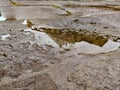 particular. puddle in the streets of Venice