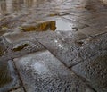 particular. puddle in the streets of Venice