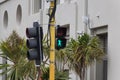 Particular traffic light at Wellington street, New Zealand