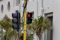 Particular traffic light at Wellington street, New Zealand