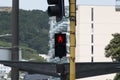 Particular traffic light at Wellington street, New Zealand