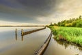 Particularly beautiful landscape at Nieuwkoopse Plassen