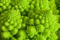 Particularly Romanesque Cauliflower. Royalty Free Stock Photo