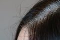 Parting of dark brown wonan`s hair with grey roots, side view, close up