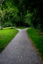 Parting of a muddy path into two at Haagse Bos, forest in The Ha Royalty Free Stock Photo