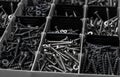 Partitioned plastic organizer box full of various screws Royalty Free Stock Photo