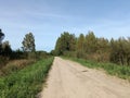 Road in forest in Siauliai county during sunny day