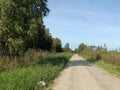 Road in forest in Siauliai county during sunny day