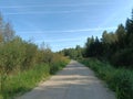 Road in forest in Siauliai county during sunny day