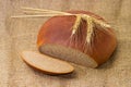 Partly cut brown bread and three wheat ears on sackcloth Royalty Free Stock Photo