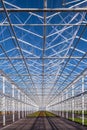 Partly empty greenhouse against a blue sky Royalty Free Stock Photo