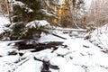 Partly frozen stream in Karelian wood