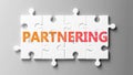 Partnering complex like a puzzle - pictured as word Partnering on a puzzle pieces to show that Partnering can be difficult and Royalty Free Stock Photo