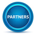 Partners Eyeball Blue Round Button Royalty Free Stock Photo