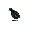 Partridge bird color silhouette animal