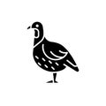 Partridge black glyph icon